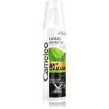 Delia Cosmetics Cameleo BB tekoči keratin v pršilu za poškodovane lase 150 ml Cene
