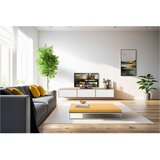 Panasonic TV-32S50AEZ HD LED pametni 80 televizor cm (32") LCD-TV z LED tehnologijo | Shoptok.si