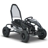 Beneo Dječji benzinski gokart Buggy RSX 98 cm³, 30 km/h, crni | Shoptok.si