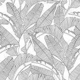 Dekornik Tapeta 100x280 cm Palm Leaves –