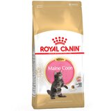 Royal Canin Maine Coon Kitten - 10 kg | shoptok.hr