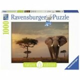 Ravensburger puzzle (slagalice)- Slon RA15159 Cene