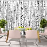 Tapeta - Birch forest 250x175 Cijene