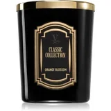 Classic Collection Orange Blossom dišeča sveča 75 g