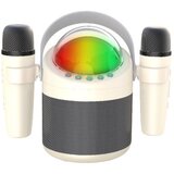 INF Brezžični Bluetooth Karaoke Zvočniški Sistem z Dvojnim Mikrofonom in RGB Lučmi White, (5000141388) | Shoptok.si
