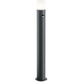 Tri O Zunanja stoječa svetilka s senzorjem Trio Hoosic (20 W, premer: 12 cm, višina: 80 cm, E27, antracit) Cene