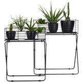 Modern Living Lonček Za Cvetlice Black Times I -Paz- | Shoptok.si