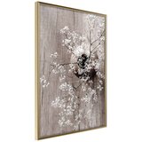  Poster - Reminiscence of Spring 20x30 | shoptok.hr