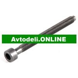 VW Prilagoditvena vijak za vbrizgalno črpalko | Shoptok.si