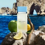 Dolce & Gabbana Light Blue New EDT toaletna voda za ženske 100 ml | Shoptok.si