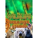 Steam The Wildlife Creative Studio (PC) Key GLOBAL | ePonuda.com