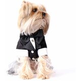 Paws &amp; Whiskers Smokin - Black Black Pet Dress Cene