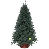 Můj Stromeček Umetna jelka višina 150 cm Silver Spruce – | Shoptok.si