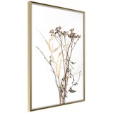  Poster - Diary of a Herbalist 30x45 | shoptok.hr
