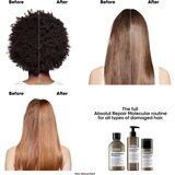 L´Oréal Paris Serie Expert Absolut Repair Molecular ugodno pakiranje za poškodovane lase | Shoptok.si
