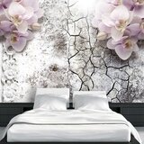  Tapeta - Bright red orchids 350x245 Cijene