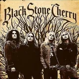 Stone Cherry - Stone Cherry