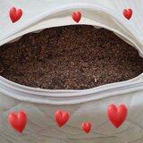 Shije Shete Valentino jastuk punjen heljdom/Jastuk za spavanje | shoptok.hr