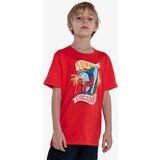 Cocomo majica za dečake pavle t-shirt CMA231B802-05 cene