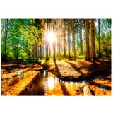  Samoljepljiva foto tapeta - Marvelous Forest 343x245 | shoptok.hr