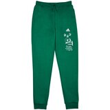 Adidas Spodnji deli trenirke BLUV Q3 PANT Zelena | Shoptok.si
