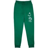 Adidas Spodnji deli trenirke BLUV Q3 PANT Zelena