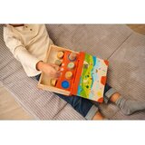 Eichhorn Lilumi pravljica - madžarski jezik | Shoptok.si