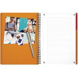 Blok KOLEGIJ B5 CRTE 80L PERFORACIJA ACTIVEBOOK OXFORD 400080787 | shoptok.hr