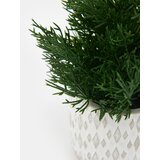 Sinsay Ukrasna umjetna biljka | shoptok.hr