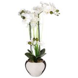 Atmosphera UMJETNO CVIJEĆE U TEGLI ORHIDEJA 53CM KERAMIKA/PES SREBRNA Cijene