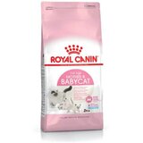 Royal Canin Babycat 34, 400g Cene