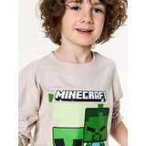 Sinsay Pamučna Majica s Printom Minecraft | shoptok.hr