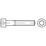 Toolcraft TO-5442210 vijci s cilindričnom glavom 100 mm 203 mm unutarnji šesterostrani 83912 čelik A5 10 St. | shoptok.hr