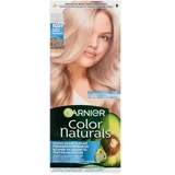 Garnier Color Naturals posvetljevalna barva za lase z negovalnimi olji 40 ml odtenek 102 Frosty Silver za ženske