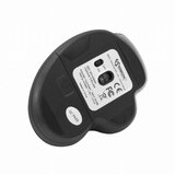 S Box miška optična brezžična usb WM-549B črna | Shoptok.si
