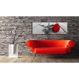 Slika - Carmine rose 120x40 | shoptok.hr