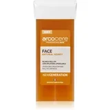 Professional Wax Face Natural Honey vosak za epilaciju za lice zamjensko punjenje 100 ml