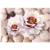  Tapeta - Flowers and Shells 100x70 | shoptok.hr