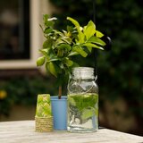 Esschert Design Vrč za piće s pipom 3,6 l – Cijene