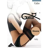 Gatta Sally Visone 1-2