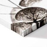  Slika - Transparent Clover (1 Part) Vertical 80x120 Standard | shoptok.hr