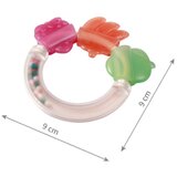 BabyOno ropotuljica z grizalom, Sadje | Shoptok.si