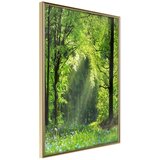  Poster - Forest Path 40x60 Cijene