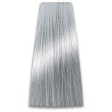 Prosalon Srebrno sivi toner COLORART - 100g Cijene