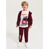 Sinsay Pamučna majica s printom Hot Wheels Cijene