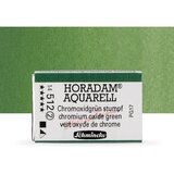  Akvarel boje Schmincke Horadam cela posudica | 512 Chromium Oxide Green Cene