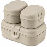 Koziol lunchbox (3-pack)