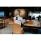 Swedish Posture Trener 3u1, Držanje/Istezanje/Vježbanje, jačina srednja | shoptok.hr