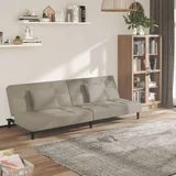 vidaXL raztegljiv kavč dvosed z blazinama svetlo siv žamet
