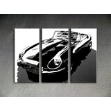  Ročno izdelana slika POP Art JAGUAR 3-delna (POP ART slike) | Shoptok.si